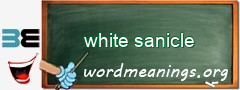 WordMeaning blackboard for white sanicle